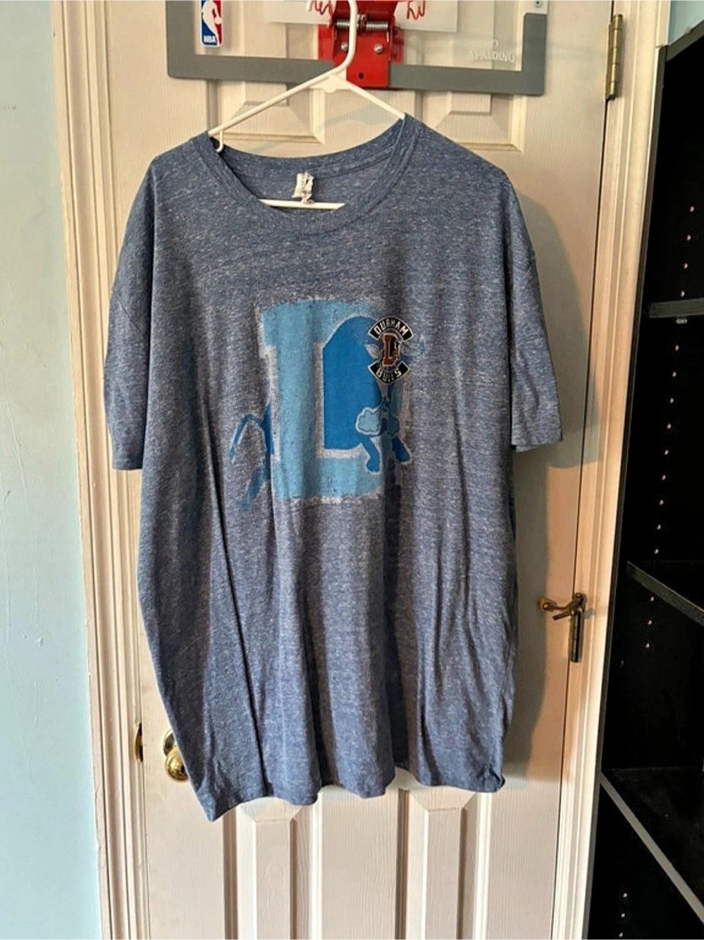 Threadfast Apparel Durham Bulls Graphic Tee in Blue